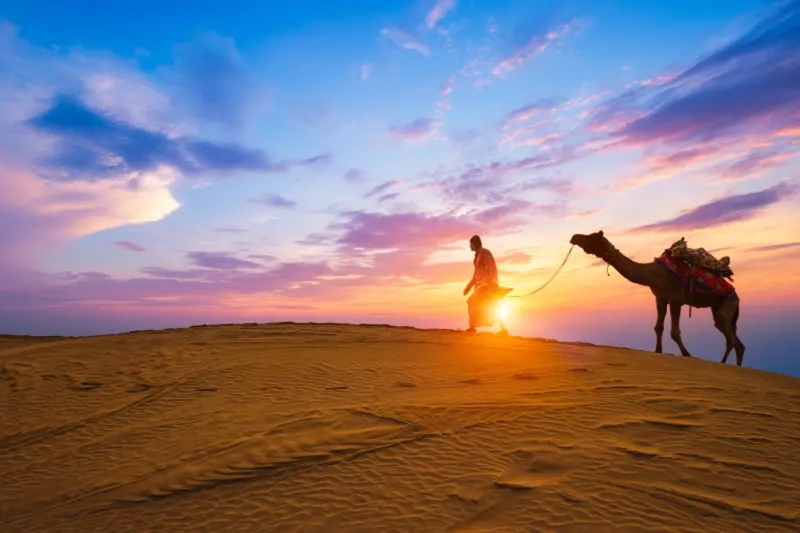 Half-Day Sunrise Camel Safari